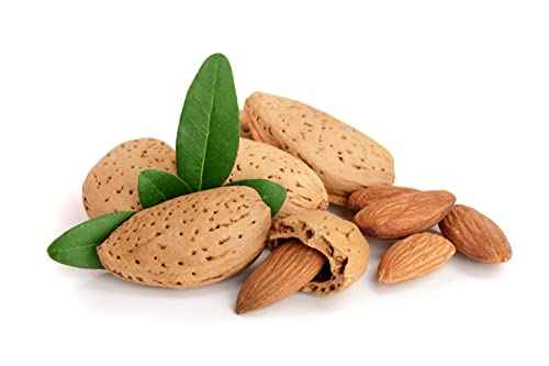 Jumbo Almonds
