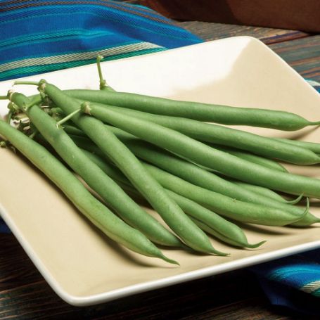 Bean Plants - Image 3