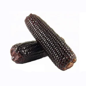 Black Waxy Corn