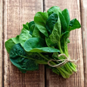 Spinach plants for sale